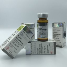 Cypo-Testosterone 200 Beligas Pharmaceuticals