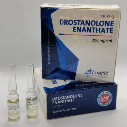 Drostanolone Enanthate Genetic Pharmaceuticals