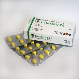 Letrozole 25 Hilma Biocare