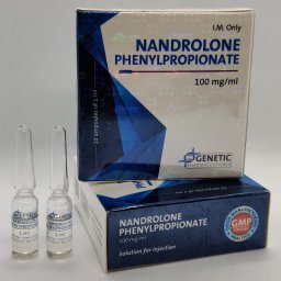 Nandrolone Phenylpropionate Genetic Pharmaceuticals