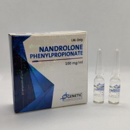 Nandrolone Phenylpropionate Genetic Pharmaceuticals