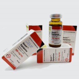 Quant-Equipoise 300 Beligas Pharmaceuticals