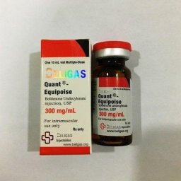 Quant-Equipoise 300 Beligas Pharmaceuticals