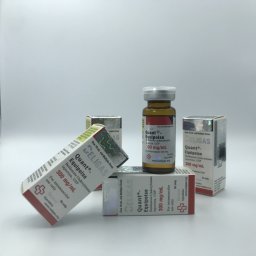 Quant-Equipoise 300 Beligas Pharmaceuticals