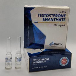 Testosterone Enanthate Genetic Pharmaceuticals