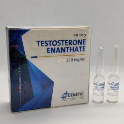 Testosterone Enanthate Genetic Pharmaceuticals