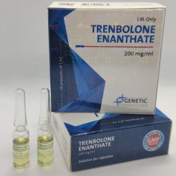 Trenbolone Enanthate Genetic Pharmaceuticals