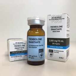 Trenbolone Enanthate Hilma Biocare